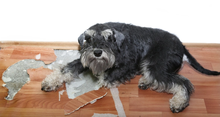 can you evict a tenant for damaging property