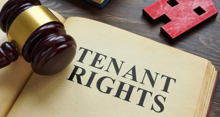 right to rent check online